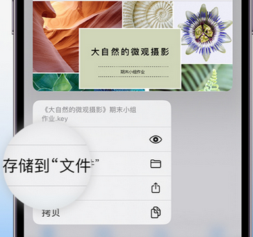 洞口apple维修中心分享iPhone文件应用中存储和找到下载文件