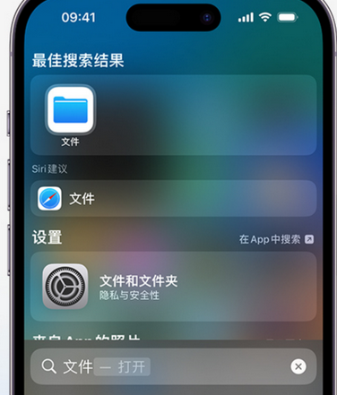 洞口apple维修中心分享iPhone文件应用中存储和找到下载文件