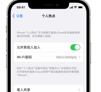 洞口apple服务站点分享iPhone上个人热点丢失了怎么办