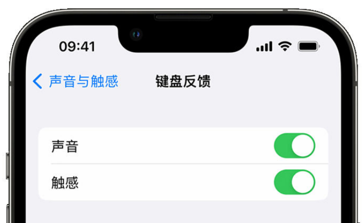 洞口苹果手机维修分享iPhone 14触感键盘使用方法 