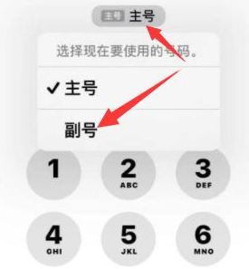 洞口苹果14维修店分享iPhone 14 Pro Max使用副卡打电话的方法 