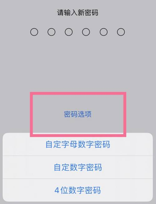洞口苹果14维修分享iPhone 14plus设置密码的方法 