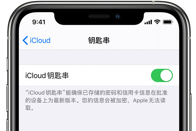 洞口苹果手机维修分享在 iPhone 上开启 iCloud 钥匙串之后会储存哪些信息 