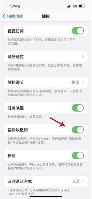 洞口苹果手机维修分享iPhone手机如何设置摇一摇删除文字 